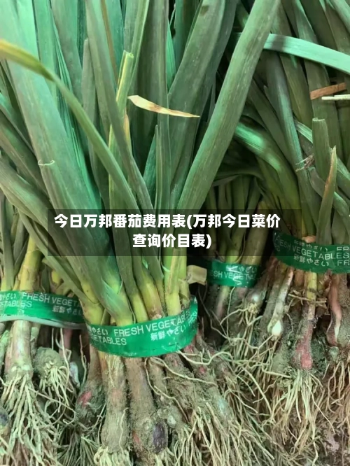 今日万邦番茄费用表(万邦今日菜价查询价目表)