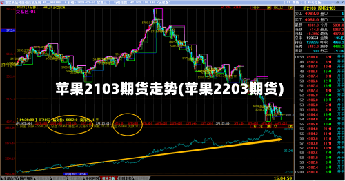 苹果2103期货走势(苹果2203期货)-第2张图片