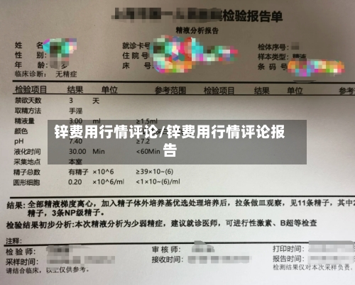 锌费用行情评论/锌费用行情评论报告