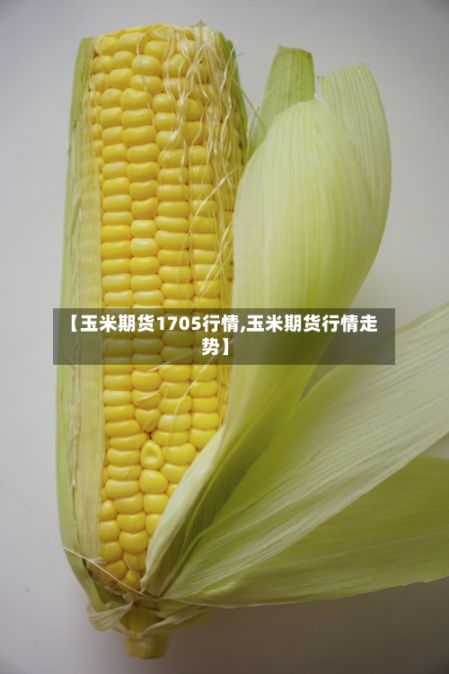 【玉米期货1705行情,玉米期货行情走势】