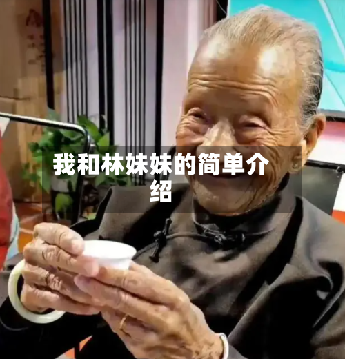 我和林妹妹的简单介绍-第2张图片