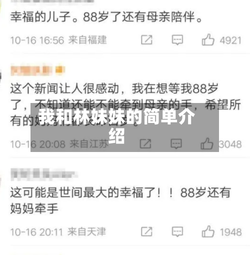 我和林妹妹的简单介绍