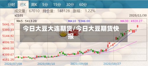 今日大豆大连期货/今日大豆期货快报-第3张图片