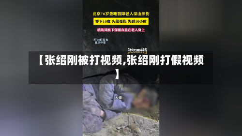 【张绍刚被打视频,张绍刚打假视频】-第2张图片