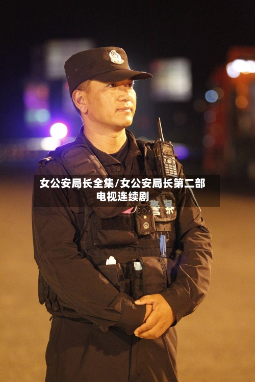 女公安局长全集/女公安局长第二部电视连续剧