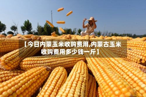 【今日内蒙玉米收购费用,内蒙古玉米收购费用多少钱一斤】