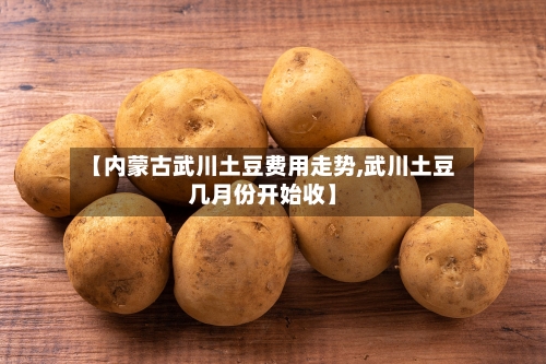 【内蒙古武川土豆费用走势,武川土豆几月份开始收】