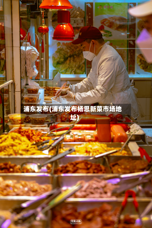 浦东发布(浦东发布杨思新菜市场地址)