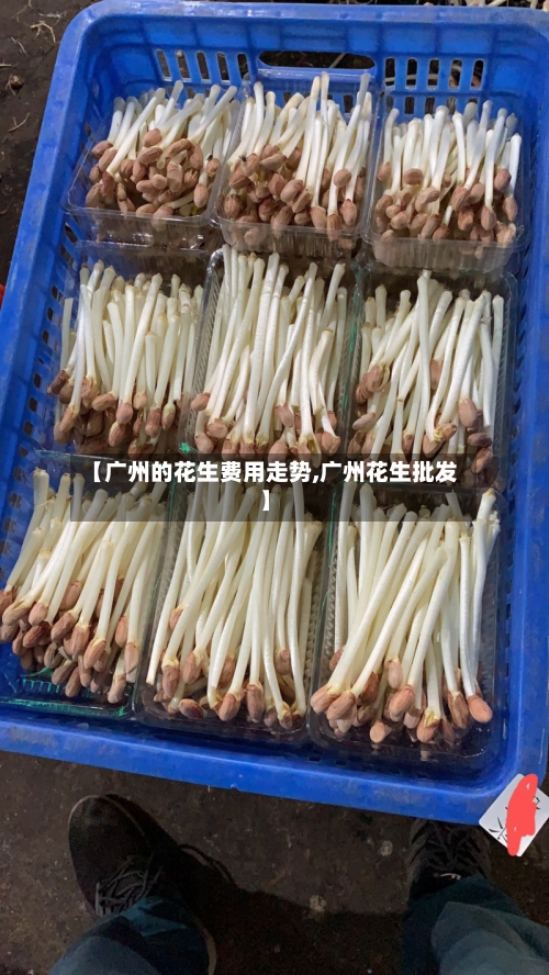 【广州的花生费用走势,广州花生批发】-第3张图片