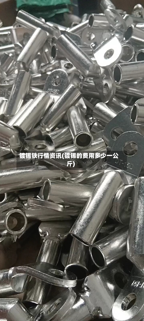 镀锡铁行情资讯(镀锡的费用多少一公斤)-第3张图片
