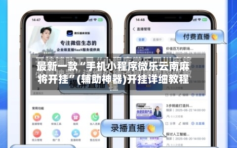 最新一款“手机小程序微乐云南麻将开挂”(辅助神器)开挂详细教程-第2张图片