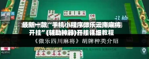 最新一款“手机小程序微乐云南麻将开挂	”(辅助神器)开挂详细教程-第3张图片