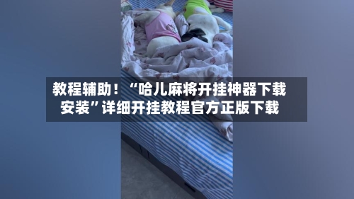 教程辅助！“哈儿麻将开挂神器下载安装”详细开挂教程官方正版下载