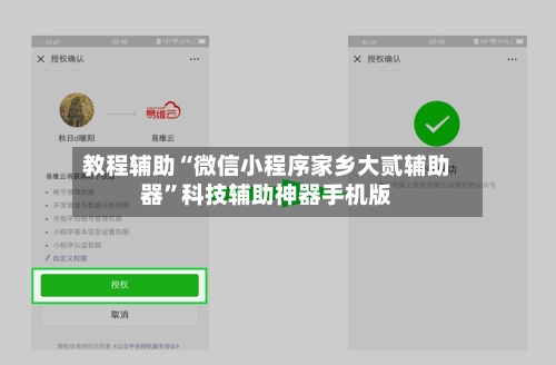 教程辅助“微信小程序家乡大贰辅助器”科技辅助神器手机版-第3张图片