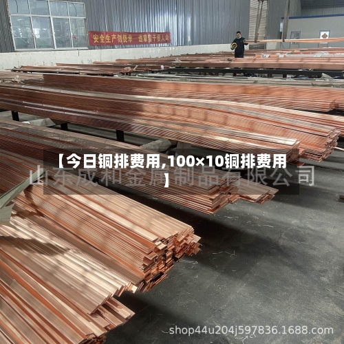 【今日铜排费用,100×10铜排费用】-第2张图片