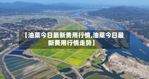 【油菜今日最新费用行情,油菜今日最新费用行情走势】