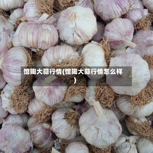 馆陶大蒜行情(馆陶大蒜行情怎么样)-第2张图片