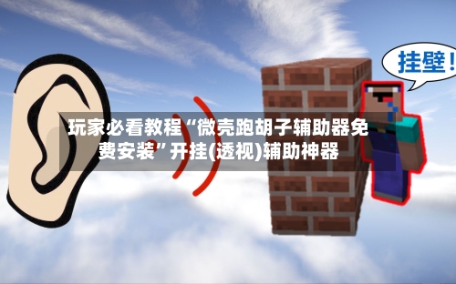 玩家必看教程“微壳跑胡子辅助器免费安装”开挂(透视)辅助神器