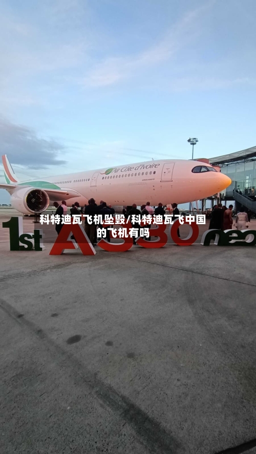 科特迪瓦飞机坠毁/科特迪瓦飞中国的飞机有吗-第2张图片