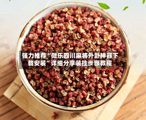 强力推荐“微乐四川麻将外卦神器下载安装”详细分享装挂步骤教程-第2张图片