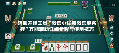 辅助开挂工具“微信小程序微乐麻将挂	”万能辅助详细步骤与使用技巧-第2张图片