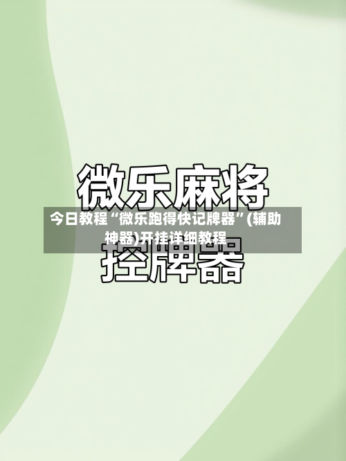 今日教程“微乐跑得快记牌器	”(辅助神器)开挂详细教程-第3张图片