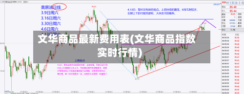 文华商品最新费用表(文华商品指数实时行情)