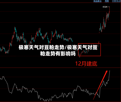 极寒天气对豆粕走势/极寒天气对豆粕走势有影响吗