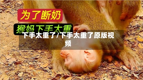下手太重了/下手太重了原版视频