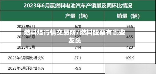 燃料烃行情交易所/燃料股票有哪些龙头