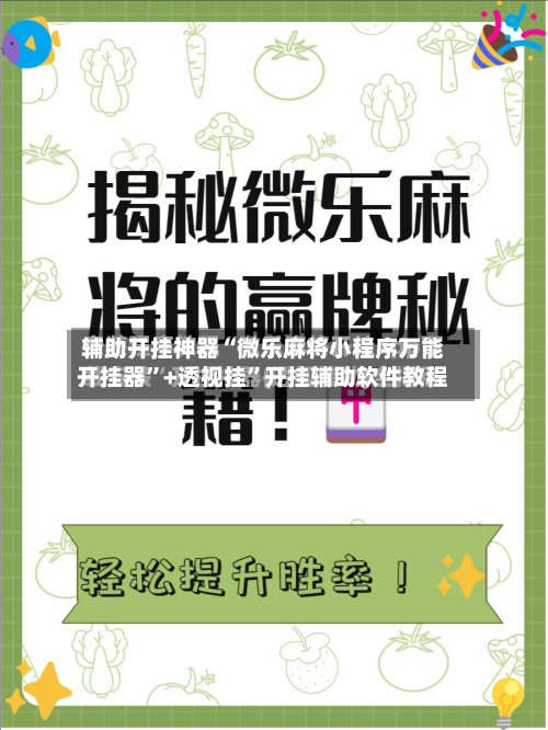 辅助开挂神器“微乐麻将小程序万能开挂器	”+透视挂”开挂辅助软件教程-第2张图片
