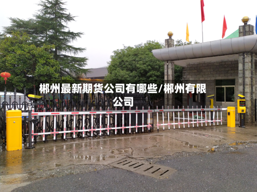 郴州最新期货公司有哪些/郴州有限公司