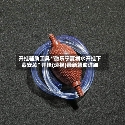 开挂辅助工具“微乐宁夏划水开挂下载安装”开挂(透视)最新辅助详细-第3张图片