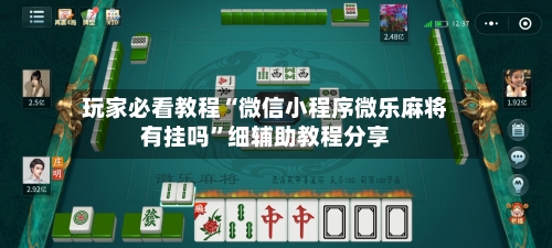 玩家必看教程“微信小程序微乐麻将有挂吗”细辅助教程分享-第3张图片