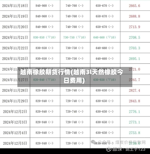 越南橡胶期货行情(越南3l天然橡胶今日费用)