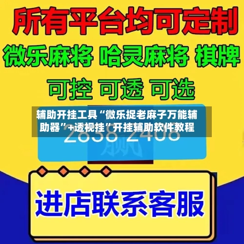 辅助开挂工具“微乐捉老麻子万能辅助器”+透视挂”开挂辅助软件教程