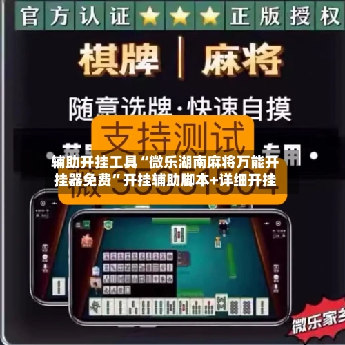 辅助开挂工具“微乐湖南麻将万能开挂器免费”开挂辅助脚本+详细开挂-第3张图片