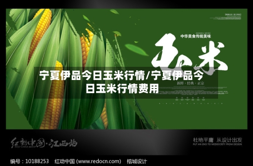 宁夏伊品今日玉米行情/宁夏伊品今日玉米行情费用-第2张图片