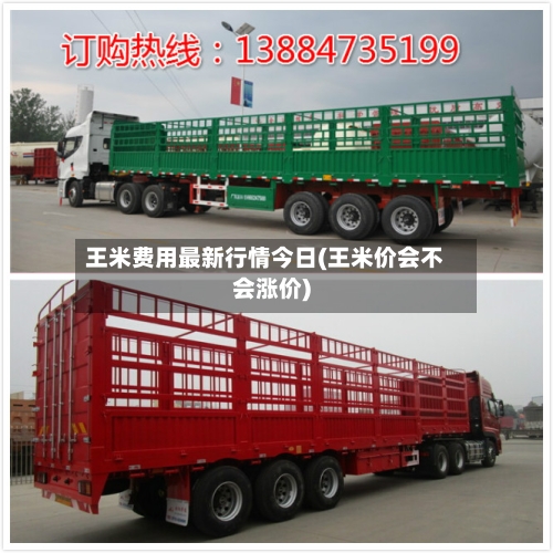 王米费用最新行情今日(王米价会不会涨价)