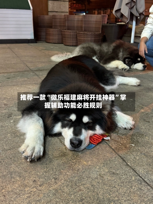 推荐一款“微乐福建麻将开挂神器”掌握辅助功能必胜规则-第2张图片