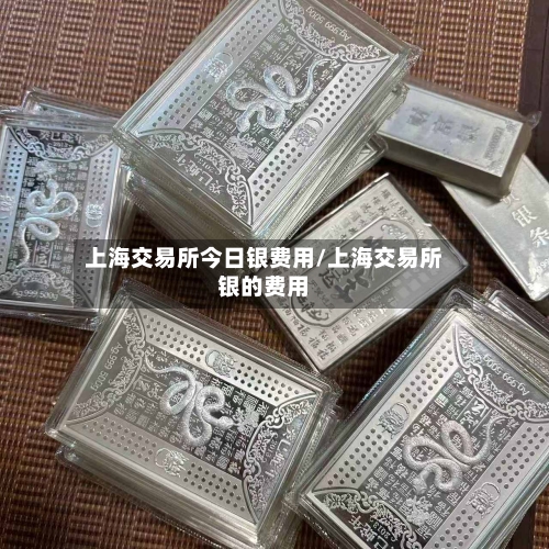 上海交易所今日银费用/上海交易所银的费用