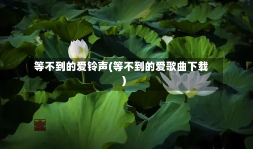 等不到的爱铃声(等不到的爱歌曲下载)-第2张图片