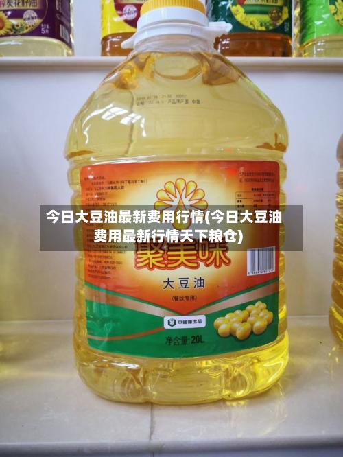 今日大豆油最新费用行情(今日大豆油费用最新行情天下粮仓)