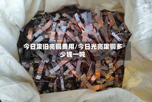 今日废旧亮铜费用/今日光亮废铜多少钱一吨