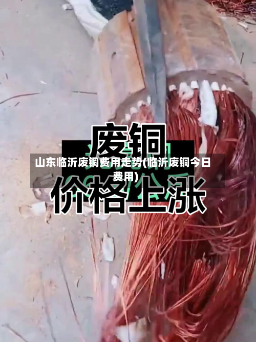 山东临沂废铜费用走势(临沂废铜今日费用)
