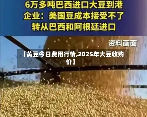 【黄豆今日费用行情,2025年大豆收购价】