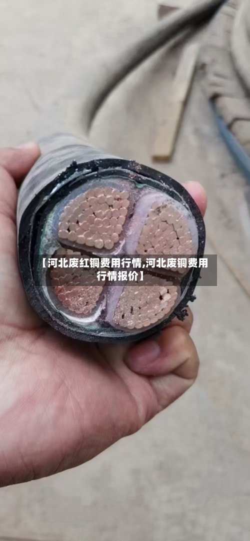 【河北废红铜费用行情,河北废铜费用行情报价】