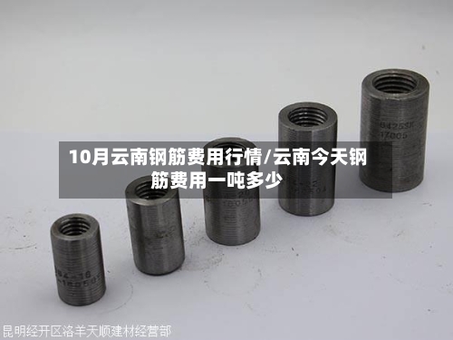 10月云南钢筋费用行情/云南今天钢筋费用一吨多少