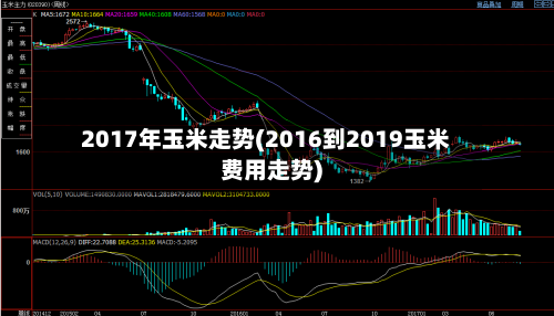 2017年玉米走势(2016到2019玉米费用走势)