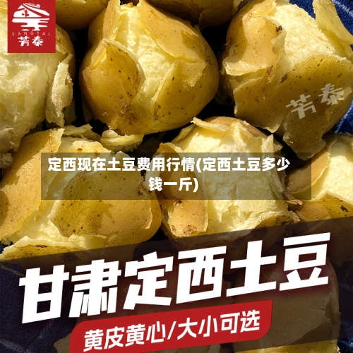 定西现在土豆费用行情(定西土豆多少钱一斤)